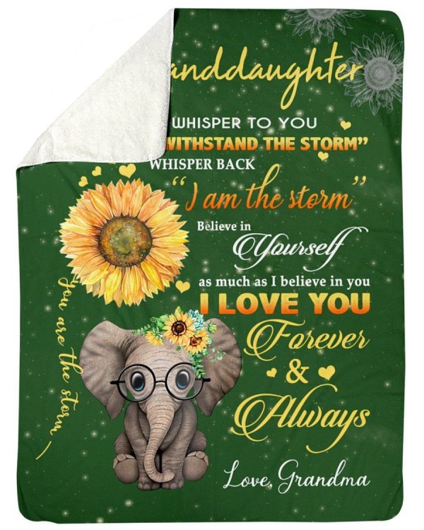 The Messages From Grandma With Love To Granddaughter Who Loves Elephan - Image 2