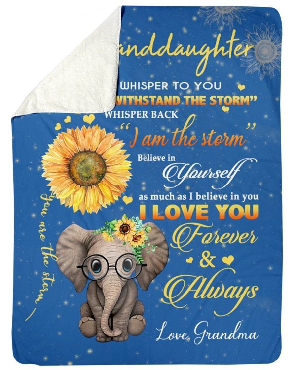 The Messages From Grandma With Love To Granddaughter Who Loves Elephan - Image 4